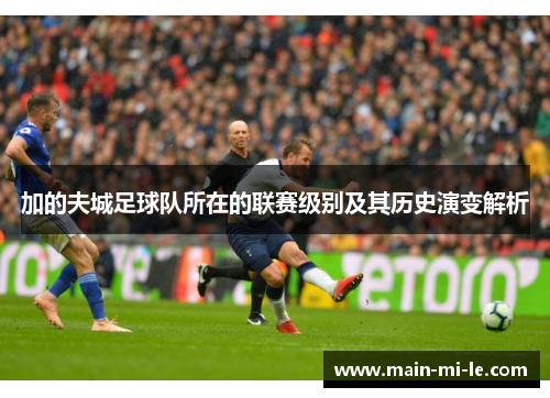 加的夫城足球队所在的联赛级别及其历史演变解析
