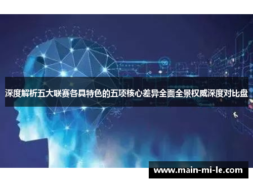深度解析五大联赛各具特色的五项核心差异全面全景权威深度对比盘