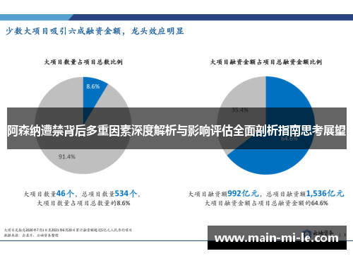 阿森纳遭禁背后多重因素深度解析与影响评估全面剖析指南思考展望