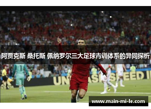 阿贾克斯 桑托斯 佩纳罗尔三大足球青训体系的异同探析