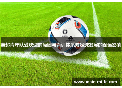 英超青年队受欢迎的原因与青训体系对足球发展的深远影响
