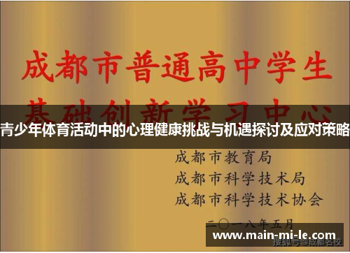 青少年体育活动中的心理健康挑战与机遇探讨及应对策略